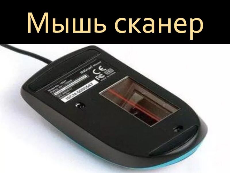 Компьютерная мышка сканер. Мышка scanning. Ручной сканер мышь.