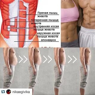 Поперечная мышца живота упражнения