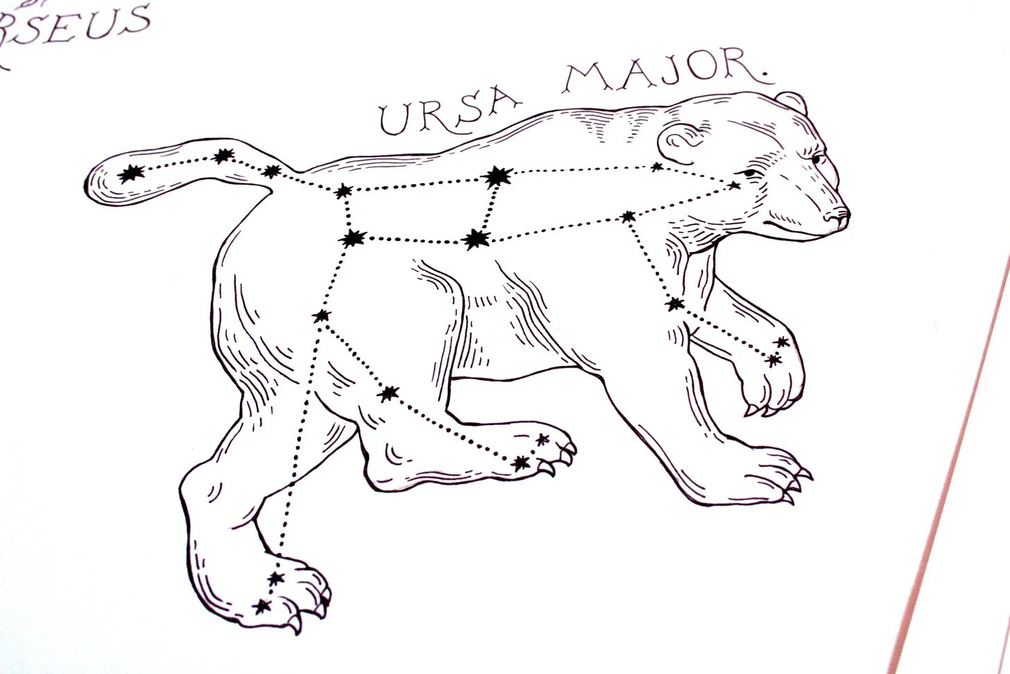Созвездие медведица для детей. Раскраска большая Медведица Созвездие для детей. Созвездие большой медведицы рисунок. Созвездие большой медведицы раскраска для детей. Раскраска созвездия для детей.