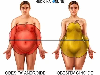 Distribuzione del grasso nell’uomo e nella donna: androide, ginoide e di ti...