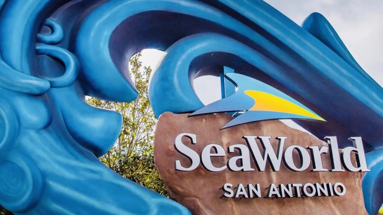 World san. SEAWORLD San Antonio. SEAWORLD Сан-Антонио. San Antonio Texas SEAWORLD. SEAWORLD 2020 Teaser San Antonio.