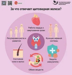 Признаки новой инфекции 2024