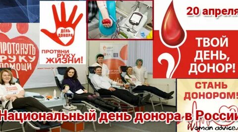 День донора на вднх 2024