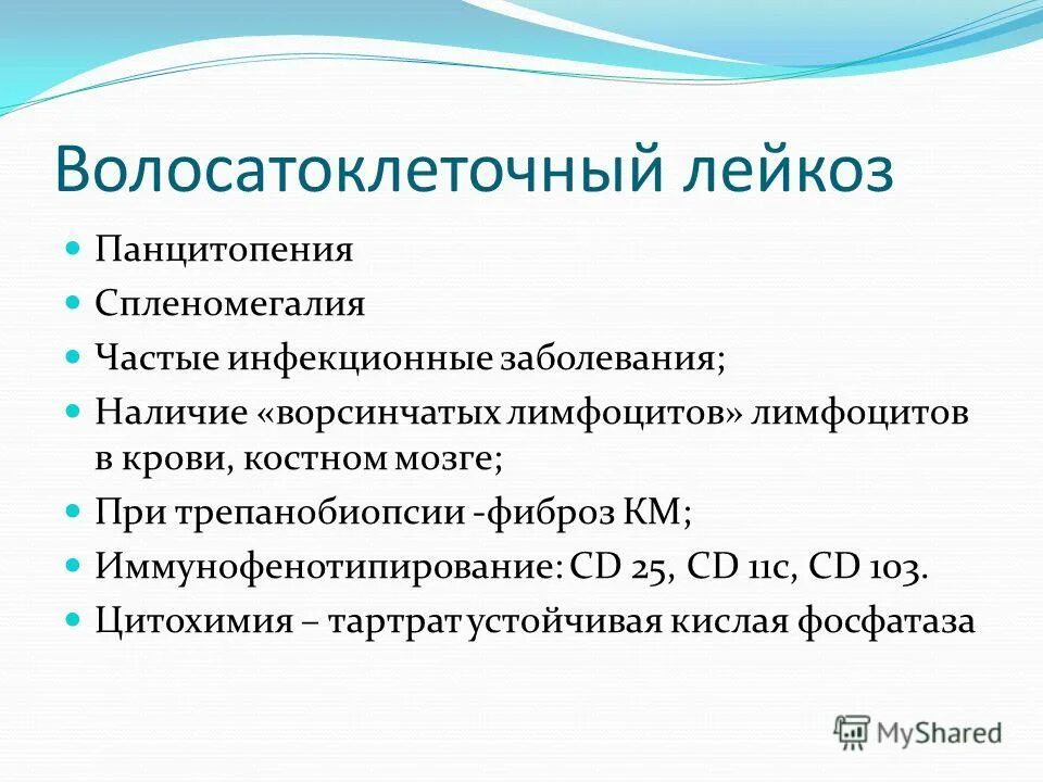 Лечение волосатоклеточного лейкоза. Волосатоклеточный лейкоз симптомы. Волосатоклеточный лейкоз морфология. Волосатоклеточный лейкоз по утвержденным клиническим рекомендациям. Волосатоклеточный лейкоз.