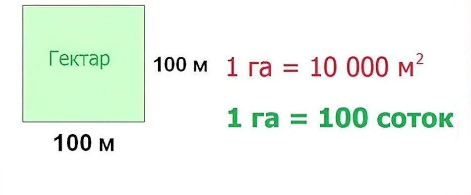 Таблица площадей сотка. Размер участка 1 гектар в метрах. 1 Гектар в метрах квадратных. Сотки в квадратные метры. Как высчитать сотки