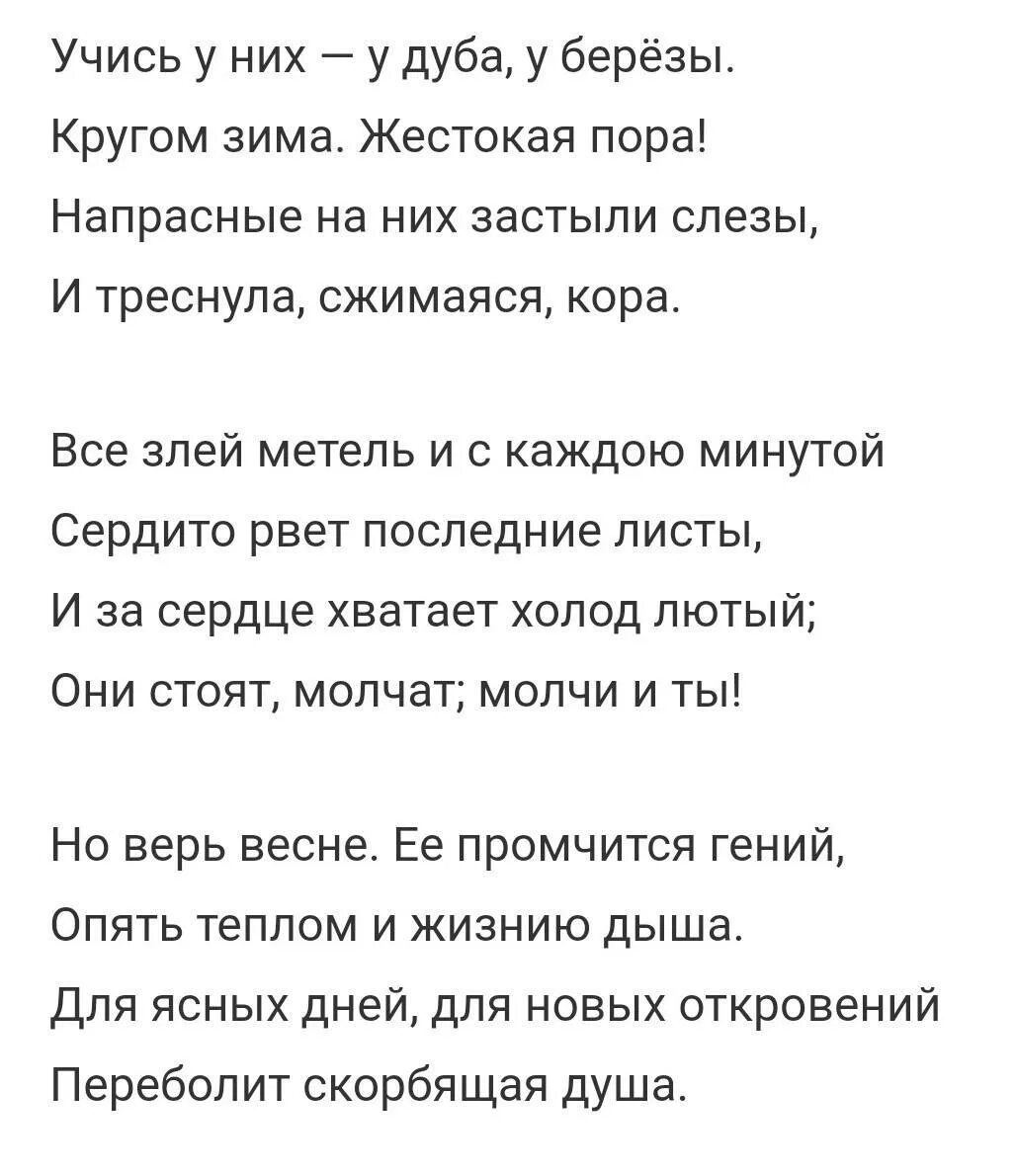 Стих учись у дуба у березы. Стих учись у них. Стихотворение учись у них у дуба у березы. Стих цсчись у дуба у березы. Стихотворение учись у них у дуба.