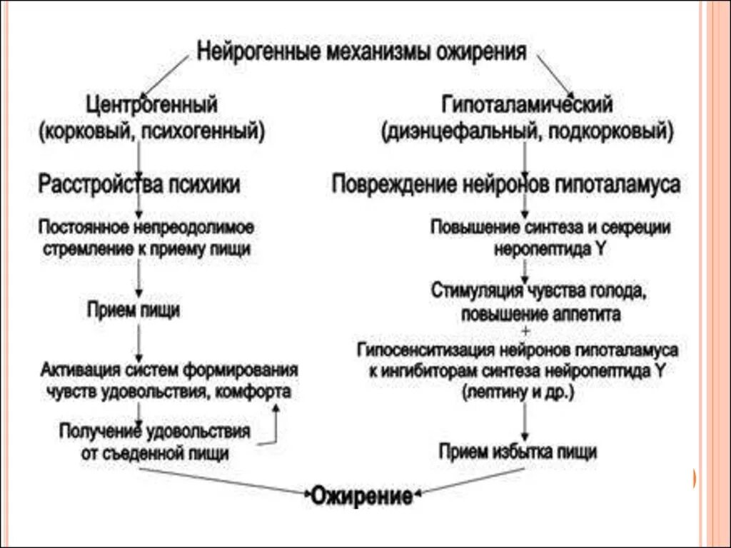 Этиология и патогенетические механизмы ожирения.. Патогенез первичного ожирения. Механизмы ожирения патофизиология. Причины и механизмы развития ожирения патофизиология.