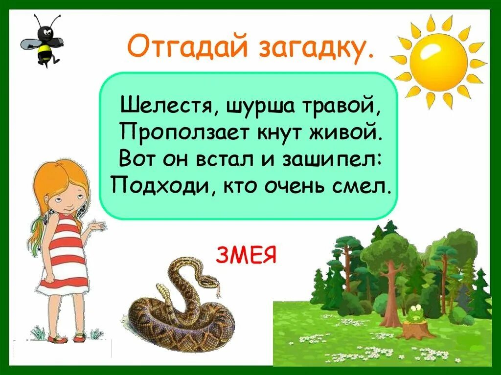 Загадки о змеях. Лесные опасности загадки. Отгадывать загадки. Загадка про змею.