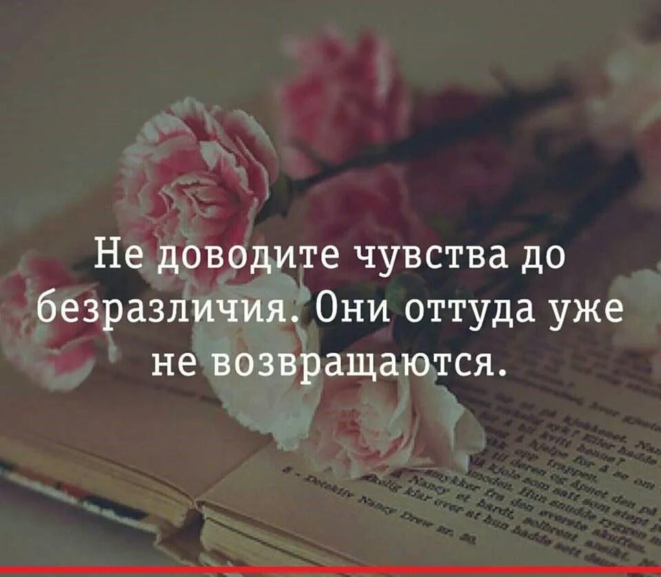 Не испытывает никаких чувств. Равнодушие цитаты. Статусы про безразличие. Высказывания о равнодушии и безразличии. Безразличие цитаты.