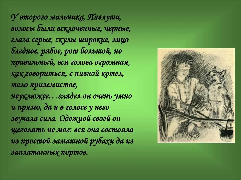 Какой характер был у павлуши
