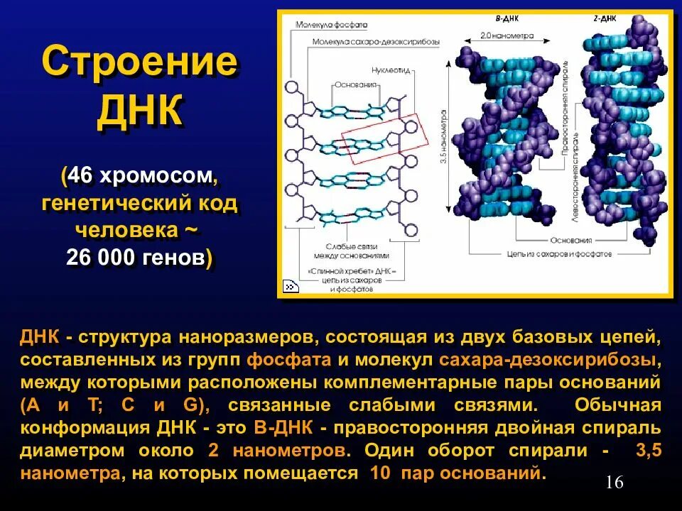 Изменения кода днк