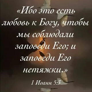 Ибо есть ибо