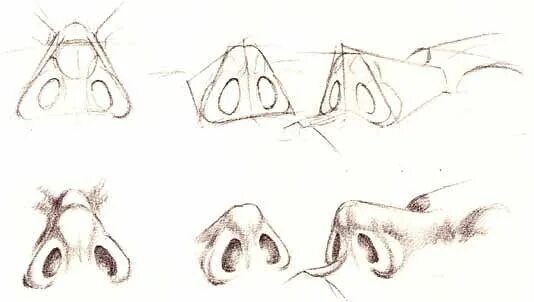 Нос построение Академический рисунок снизу. Нос в разных ракурсах. Нос ракурсы.