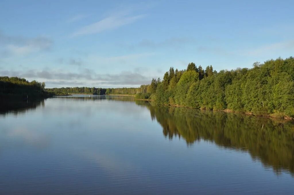 Река Ковжа Вологодская область. Ковжа (река, впадает в белое озеро). Деревня Ковжа Вологодская область. Ковжа впадает в белое озеро. Река россии впадающая в озеро