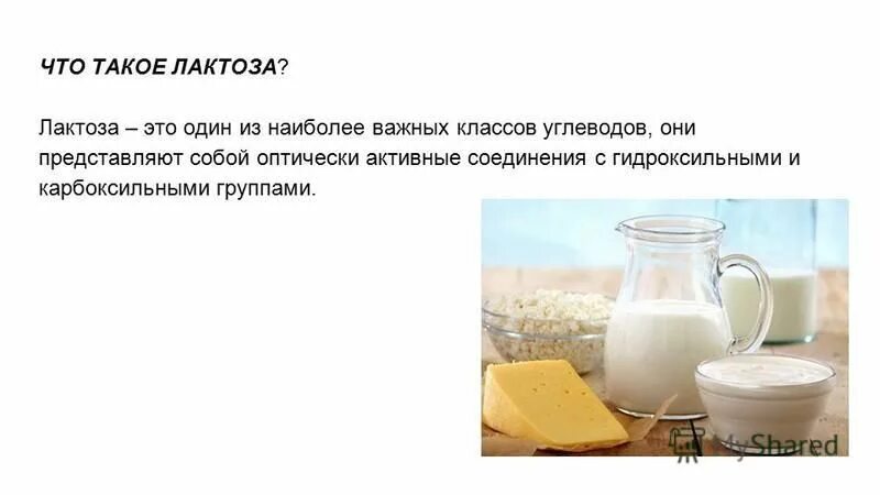 Лактоза в молочных продуктах. Содержится лактоза в кисломолочных продуктах. Продукты содержащие лактозу. Содержание лактозы.