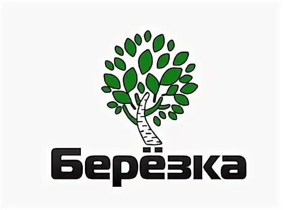 Береза значок. Березка лого. Береза с надписью. Фирма Березка. Салон березка