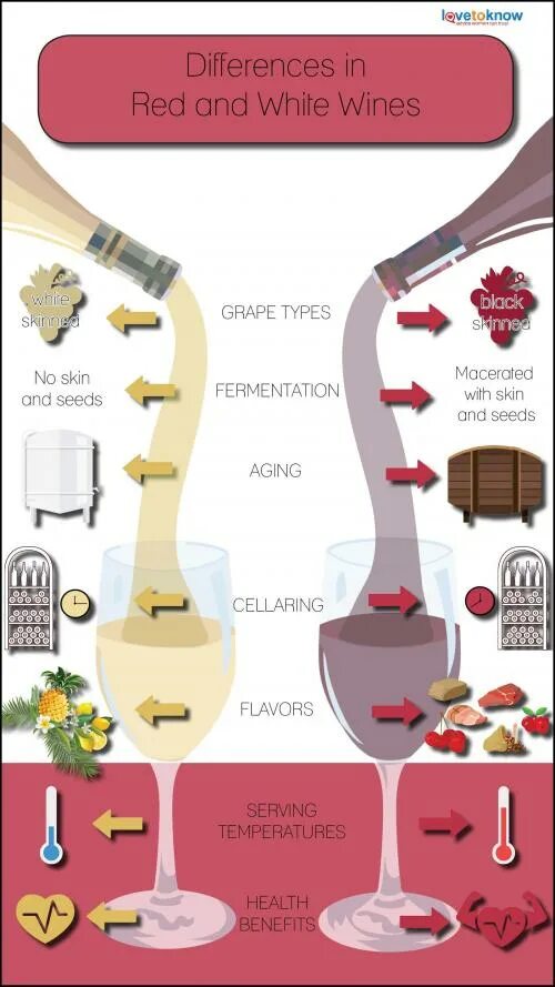 Инфографика вино. Польза белого вина. Виды белого вина. Производство вина инфографика. Производство красного вина