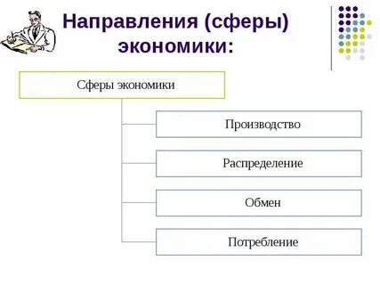 Отдельная сфера экономики