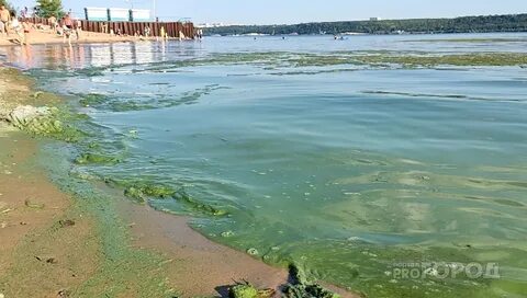 Вода в волге сейчас