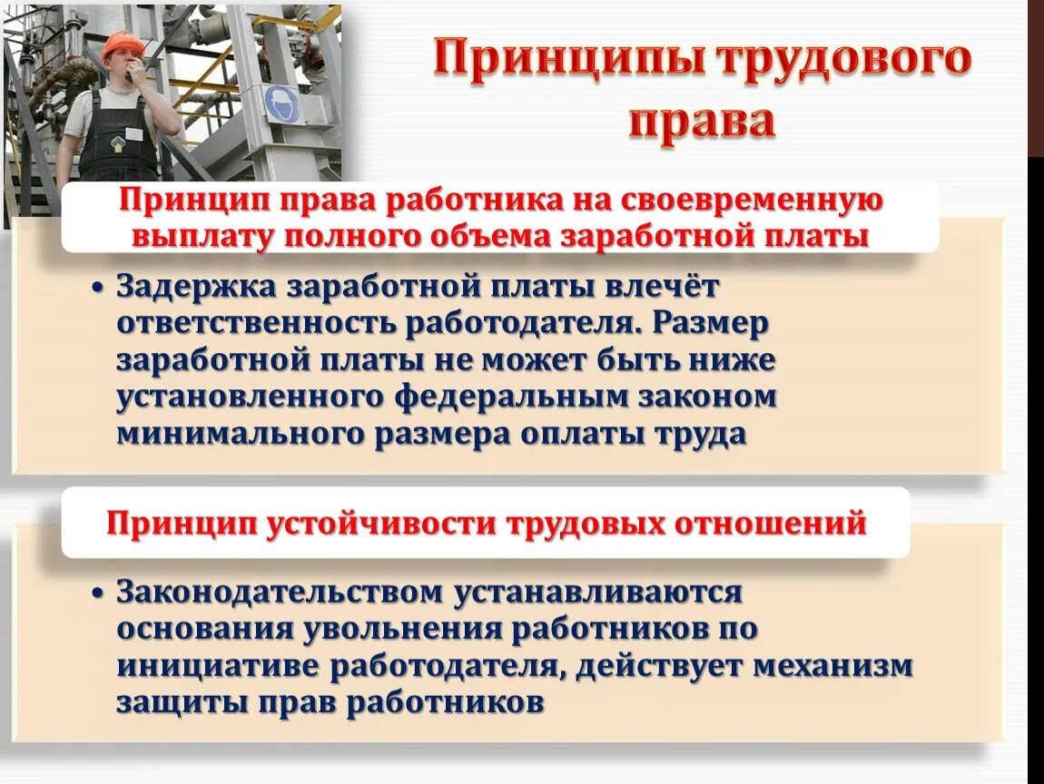 Трудовое право. Принципы трудового. Принципы трудового законодательства. Принципы оплаты труда.