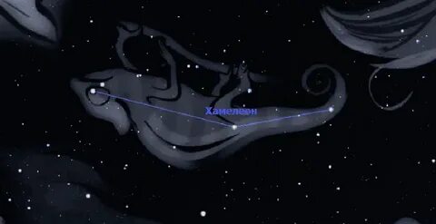 Созвездие хамелеон