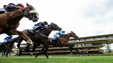 Live horse racing