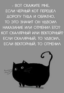 Что значит коте