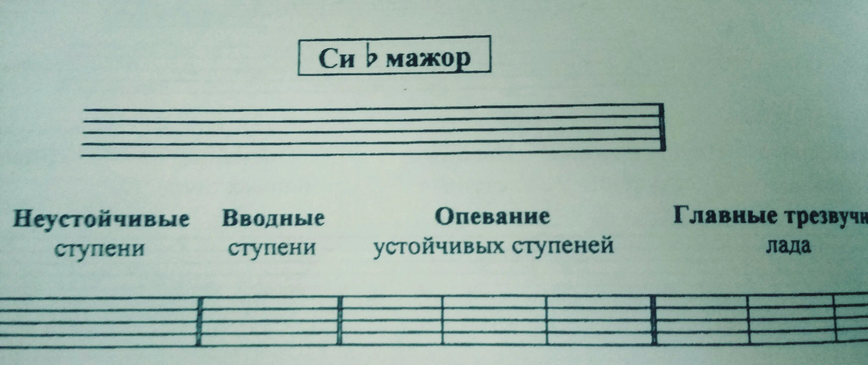 Опевания устойчивых ступеней. Си бемоль мажор опевание устойчивых ступеней. Сольфеджио опевание устойчивых ступеней. Си бемоль мажор устойчивые ступени. Вводные ре мажор