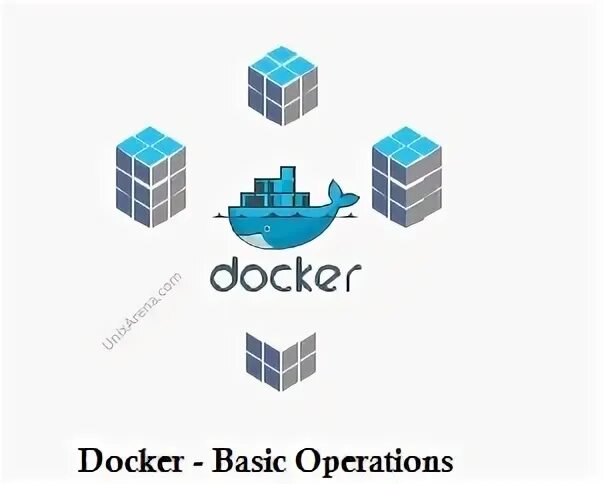 Docker container path. Docker container path