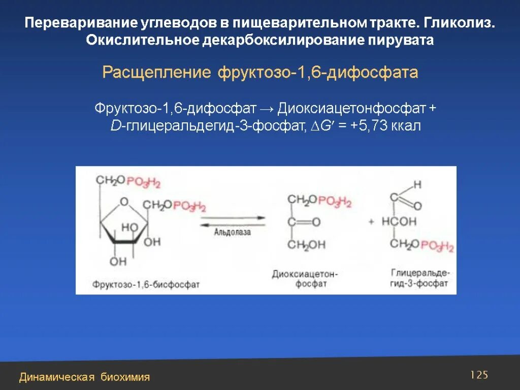 Фруктозо 1 6 дифосфат формула. Фруктозо-1,6-дифосфата. Д фруктозо 6 фосфат. Фруктозо 1 6 бифосфат формула.