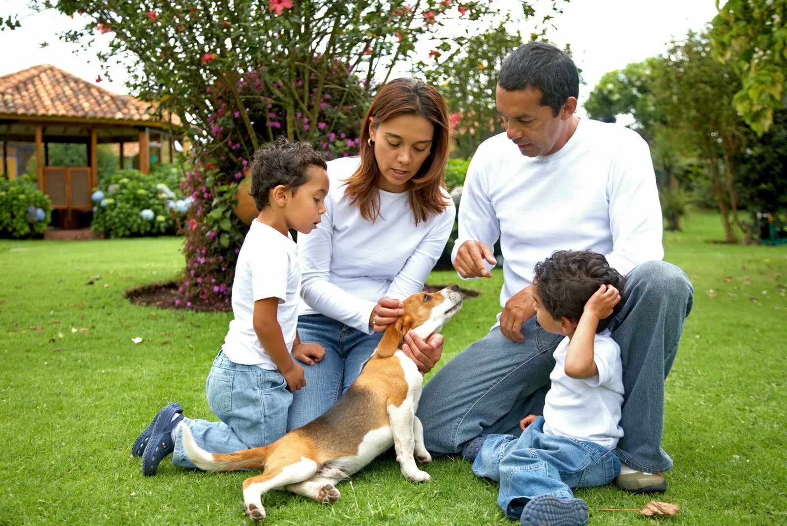 Семейные собаки. Семья с питомцами. Счастливая семья с собакой. Собаки для семьи с детьми.