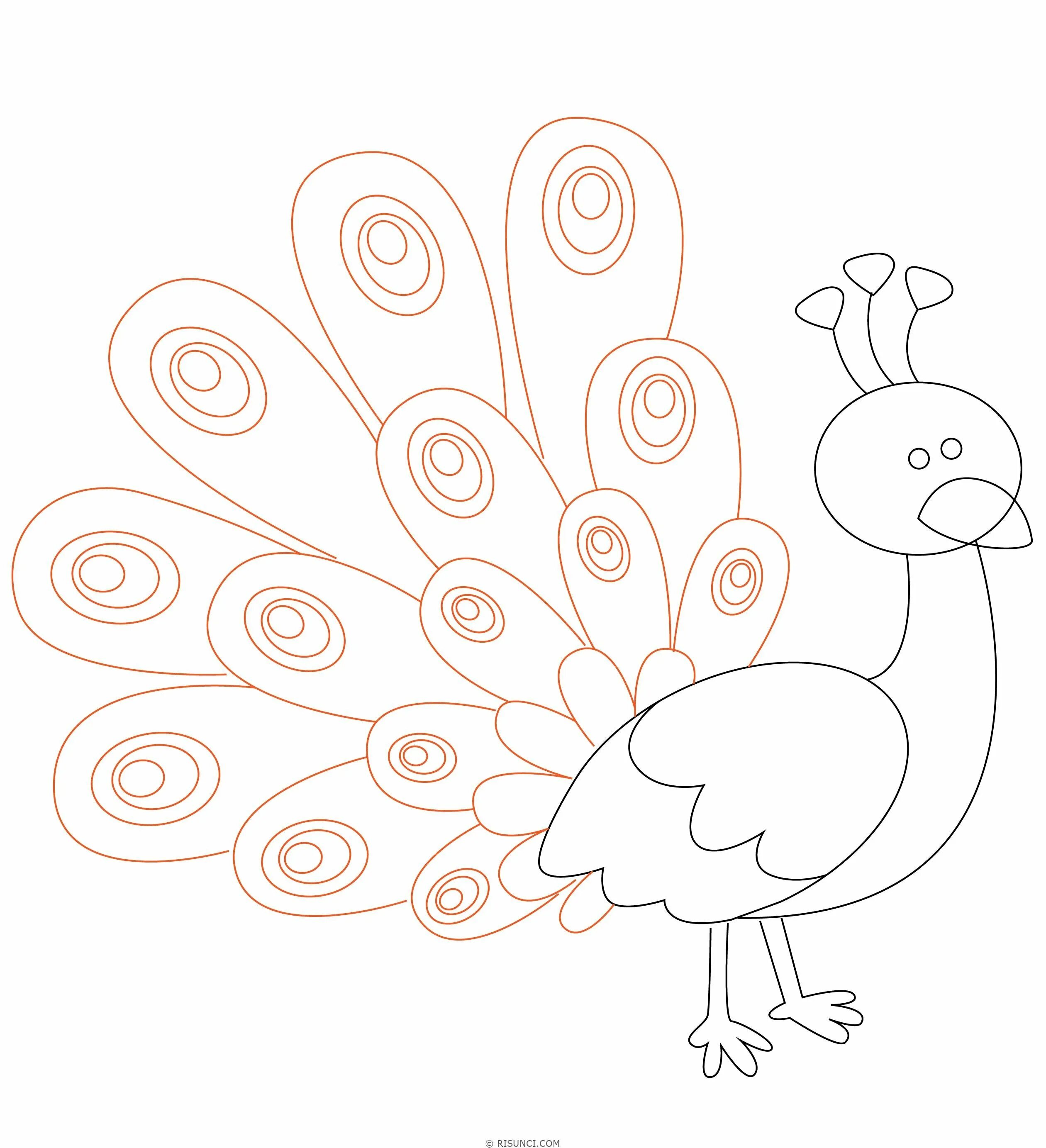 Шаблон сказочной птицы. Павлин рисунок для детей. Павлин раскраска для детей.