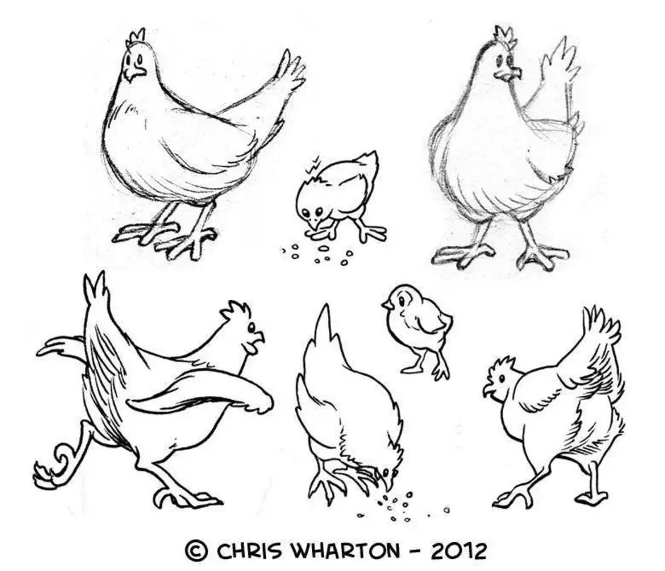Курица нарисовать легко. Курица рисунок карандашом. Курица раскраска. Поэтапное рисование курицы для детей. Наброски домашних животных.