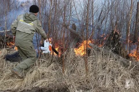 Действующие пожары