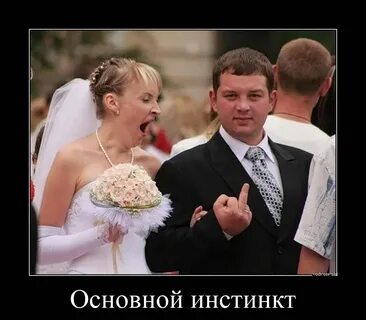 Приколы про свадьбу картинки - Profhobby.ru