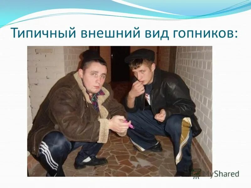 типичный внешний. гп пустынь и полупустынь в россии. внешний облик зоны пустыни. возвышенность в тундре. типичный внешний облик.