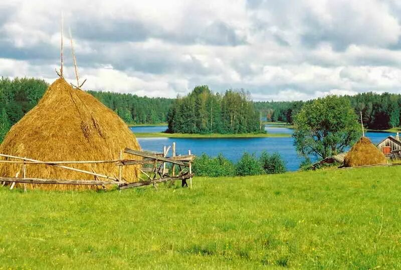 Сено зимой. Стожок картинка. Сказка стожок. Под стожок. Под стожок.