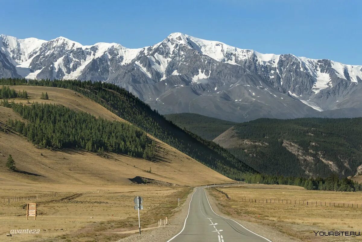 Гора Куркурек горный Алтай. Гора Актру Северо Чуйский хребет. Куркурек гора Алтай высота. Курайская степь Актру. Направление горных хребтов горы алтай