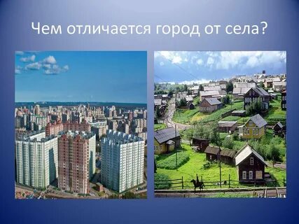Все о месте где мы живем