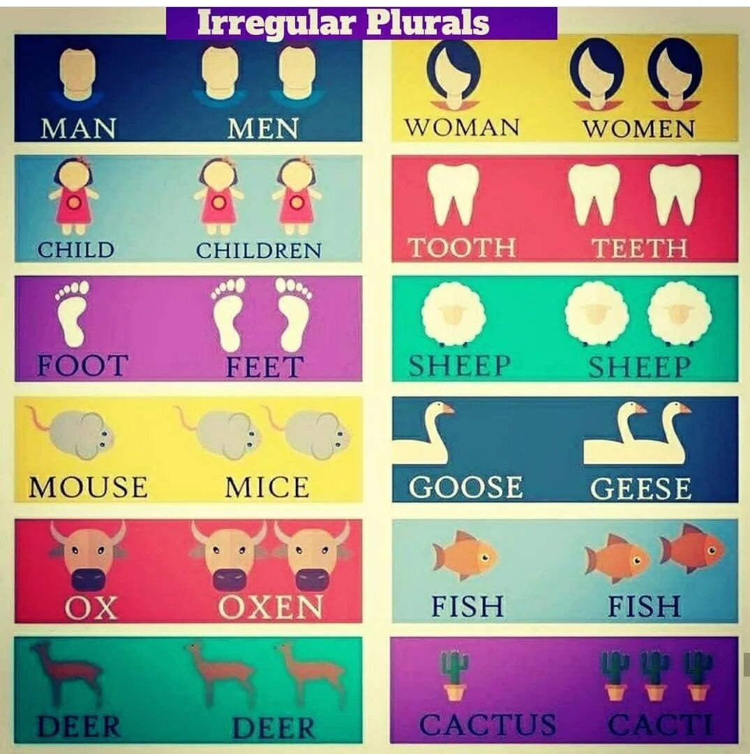 Irregular plurals. English irregular plurals. irregular plurals в английском языке. irregular plural nouns. plurals исключения.