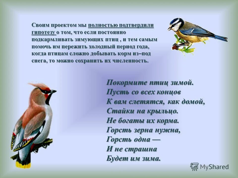 презентация на тему птицы наши друзья. описание снегиря. презентация на тему птицы 1 класс. кто такие птицы презентация. рассказ про снегиря.