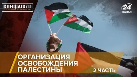 Организация в палестине
