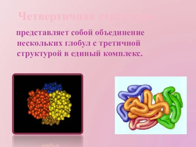 Структура белка представленная глобулой. Четвертичная структура белка представляет собой. Глобула. Клубок глобула полимера. Третичная структура белка глобула.