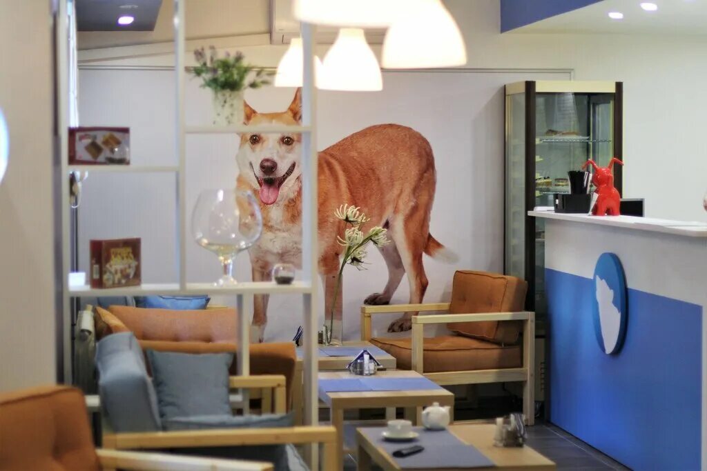 Кафе можно с собаками. Собака в ресторане. Ресторан для животных. Собачье кафе. Кафе для животных в Москве.