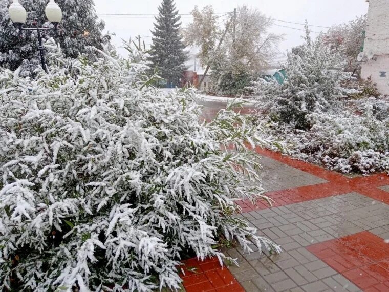 Заморозки снег. Заморозки и мокрый снег вернуться.