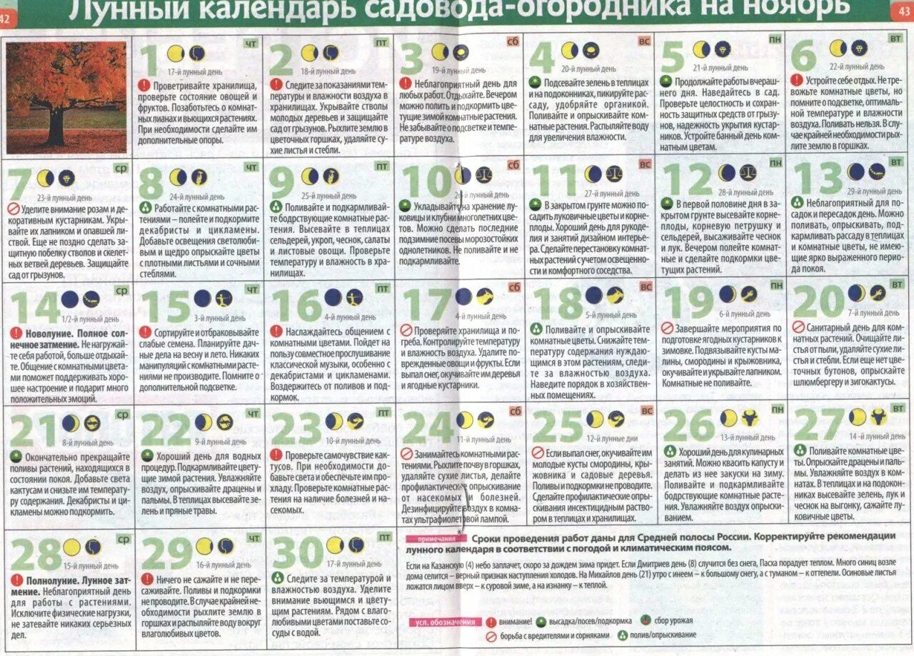 Сажать в полнолуние. Календарь комнатных растений. Календарь полива комнатных цветов. Календарь огородника. Лунный календарь с деревьями.