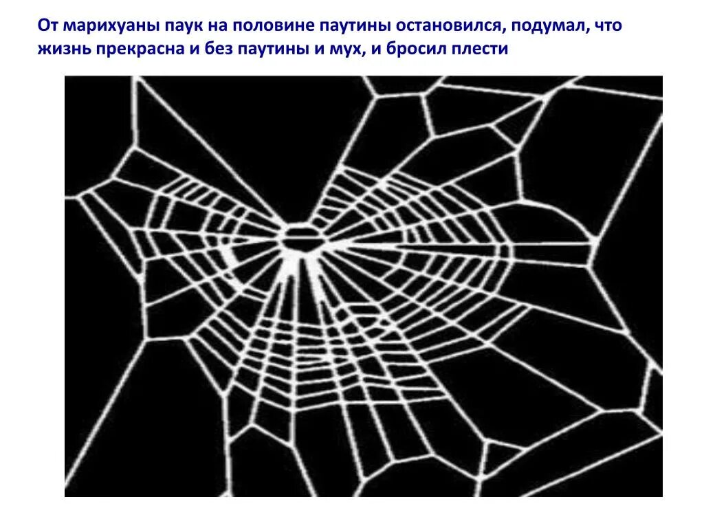 Схема паутины. Строение паутины паука. паутина схема. схема плетения паутины пауком. паутина крючком.