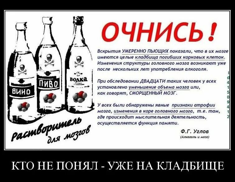 Много лет не пил долго