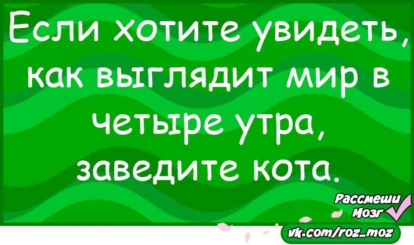 Анекдот про мозг. Анекдоты Рассмеши мозг. Рассмеши мозг анекдоты в картинках. Рассмеши мозг приколы. Рассмеши меня.