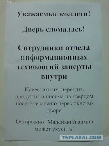 Уважаемые сотрудники. Уважаемые коллеги прикол. Суки уважаемые коллеги. Уважаемый коллега.